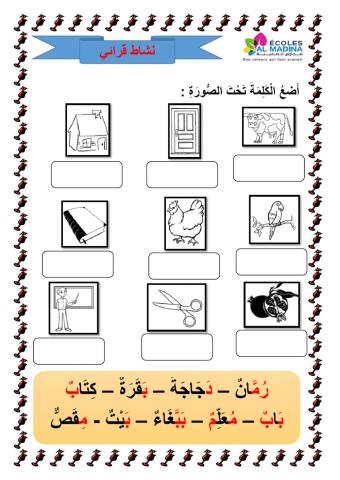 كلمات و صور