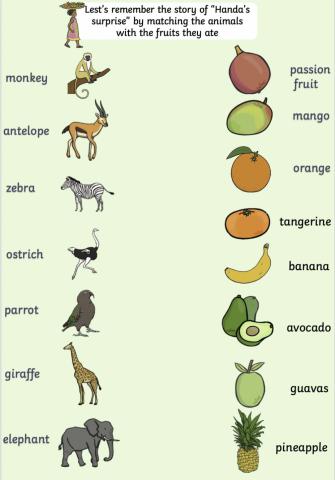 Match the animals with the fruits