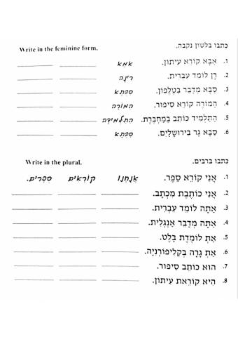 המרות - לנקבה ולרבים