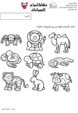أنواع الحيوانات