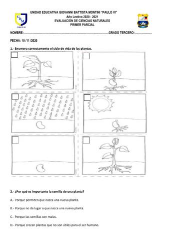 Evaluación primer parcial ccnn