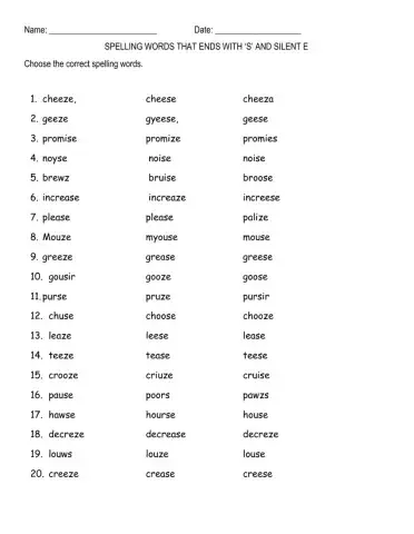 Words that ends in S with Silent E