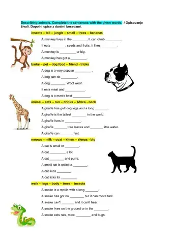 Describing animals - complete