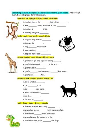 Describing animals - complete