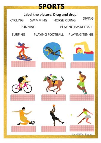 SPORTS AND HOBBIES