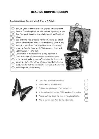 Reading Comprehension