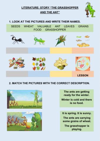 Story -The grasshopper and the ant-
