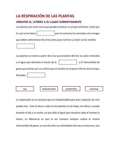 Respiración de las plantas