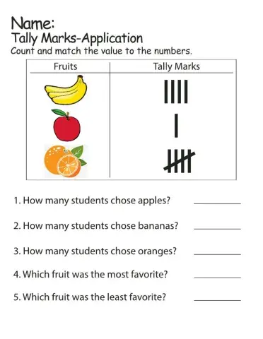 Tally Marks 1-5  (Tally Chart) Application 2
