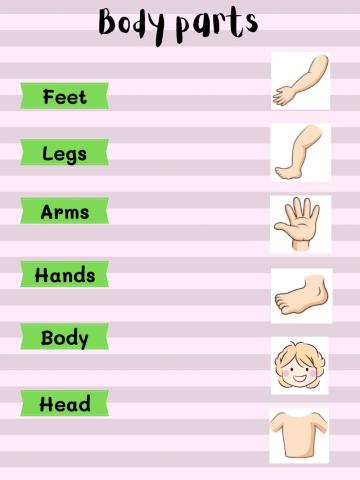 Body Parts