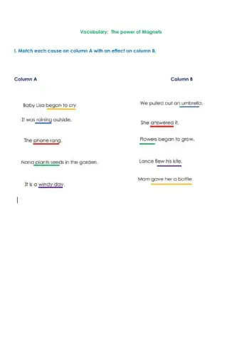 Cause and Effect  Review Worksheet Accomodations