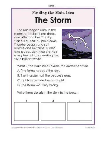 Finding the Main Idea