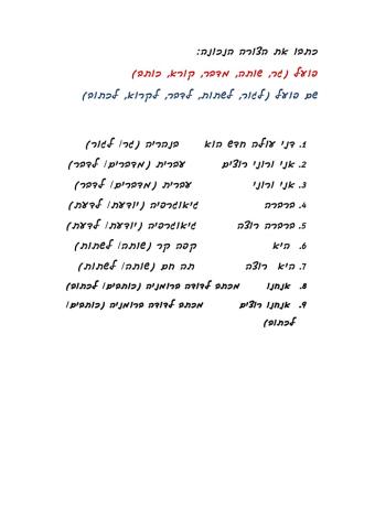 פועל- שם פועל