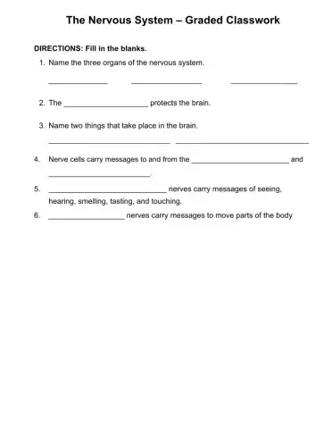 Nervous system exercises