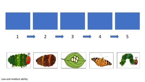 The very hungry caterpillar