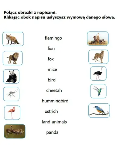 Hello explorer 3, unit 2 animals