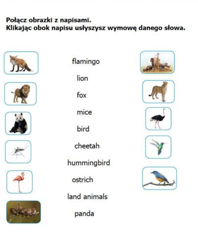 Hello explorer 3, unit 2 animals