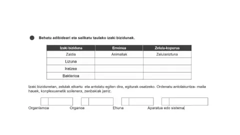 Izaki bizidunen egitura