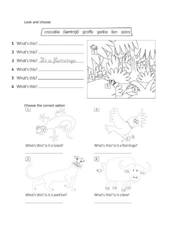 Animals revision Big surprise 3 worksheet