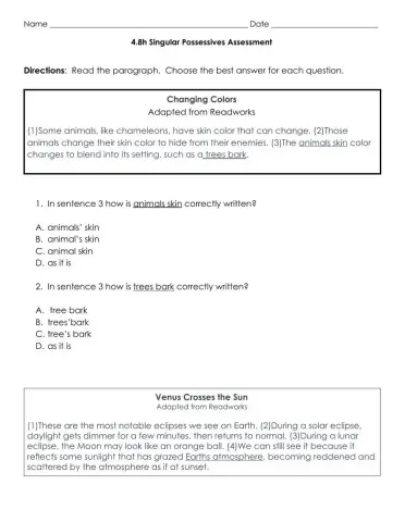 Singular Possessive Assessment