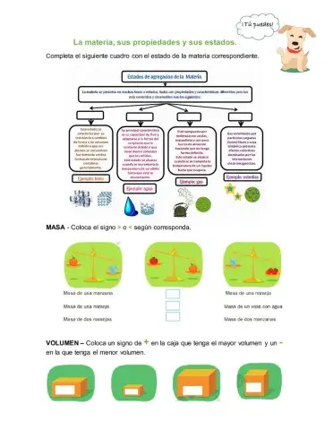 La materia, estados y propiedades.