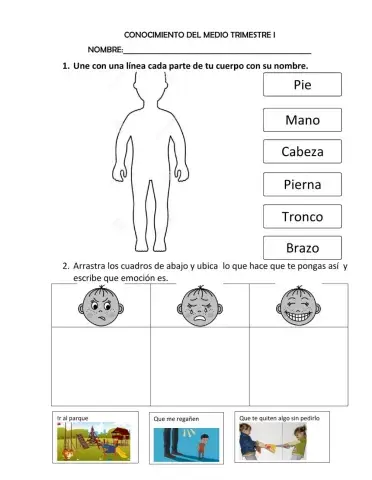 Conocimiento del medio evaluación trimestre I