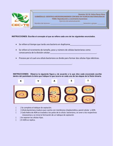 Reproducción y crecimiento bacteriano