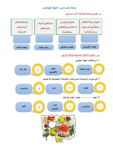 ورقة عمل درس انواع الهضم