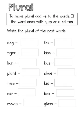 Plural and possessive nouns
