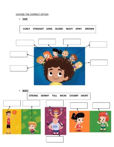 Choose the correct option