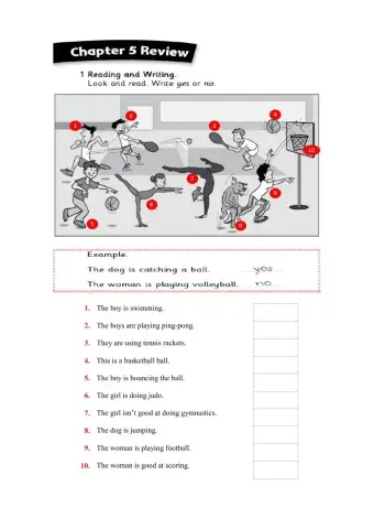 Sports - The sports club is fun