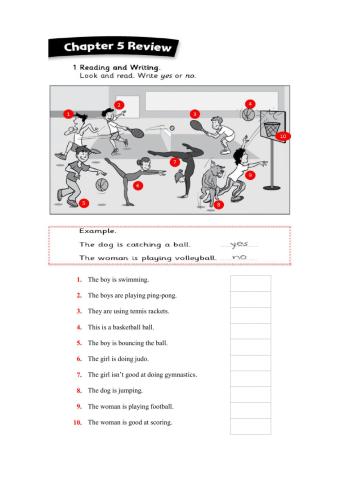 Sports - The sports club is fun