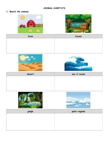 Starters Animals L13