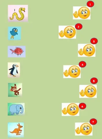 INFANTIL WILD ANIMALS (4 y 5 años)