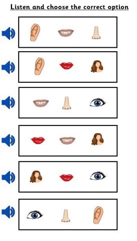 Listen and click: parts of the face