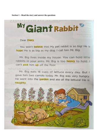 My Giant Rabbit- M1 reading comprehension