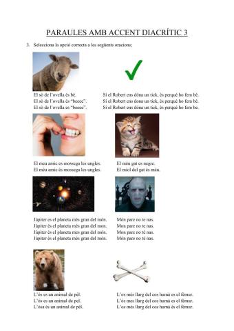 Accent diacrític III