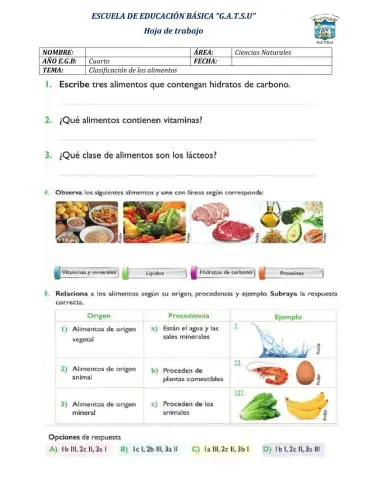 Alimentos