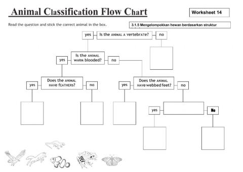 WORSKHEET 14 : Animal Classification