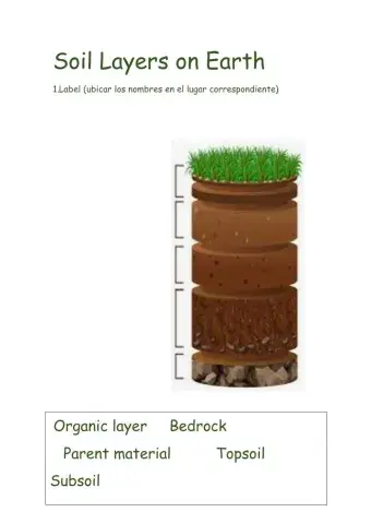 Soil layers on Earth