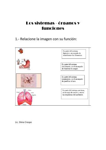 Órganos y funciones