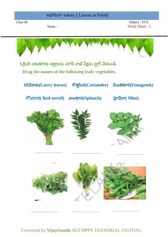 3rd evs leafy veg 1 by Vijay Gundu