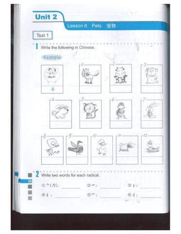 宠物 Text 1 （ Easy steps to chinese 4）