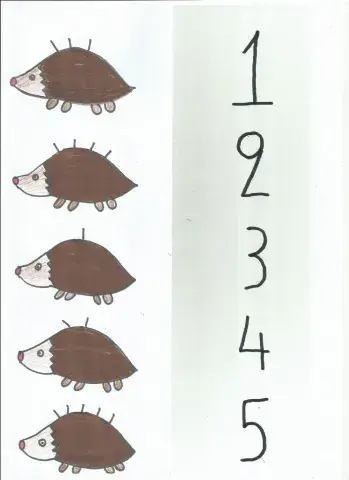 Σκαντζόχοιροι