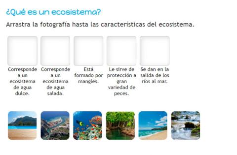 Los ecosistemas
