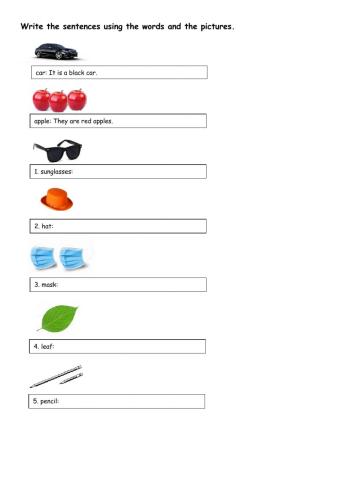 Color: Sentence Making