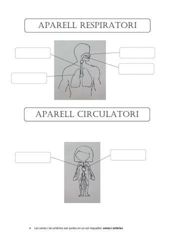 APARELL RESPIRATORI I CIRCULATORI 2n