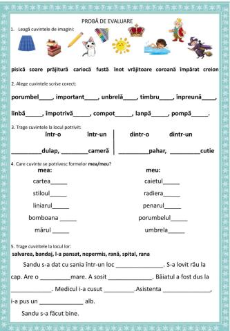 Literele: c,j,î,s,mp,mb,mea-meu,într-o, într-un