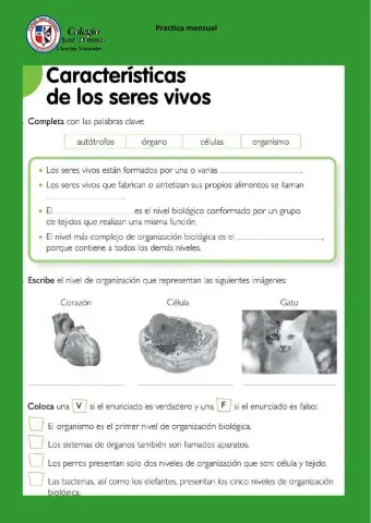 Características de los seres vivos