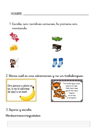 Preparatorio de Lengua